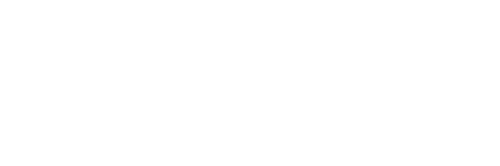 Разработка имиджевого корпоративного сайта для бренда ДОМИНАНТ