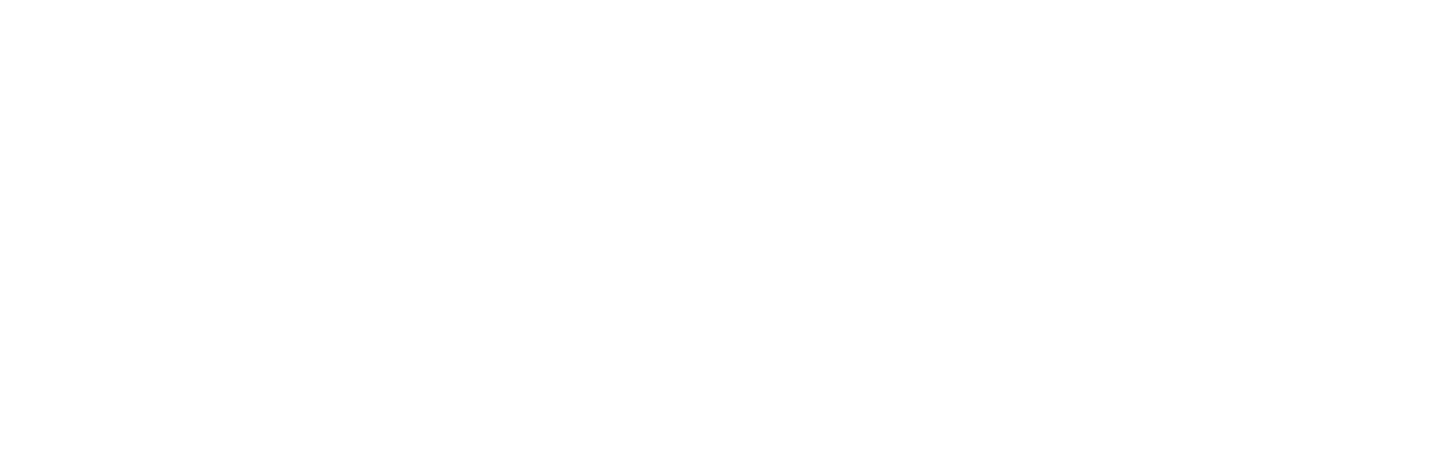 Разработка имиджевого сайта для TMDM