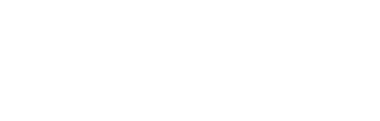 Разработка платформы визуального бренда РИЦ